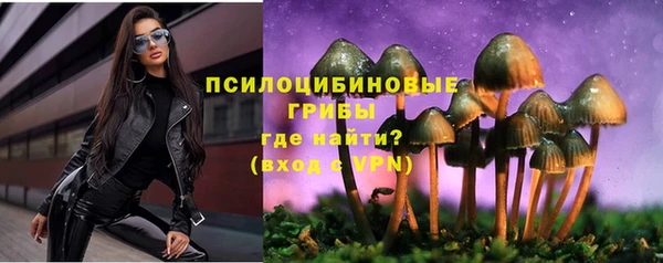 спайс Арсеньев